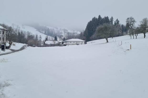 Grundstück kaufen in 3353 Seitenstetten (Bild 1)