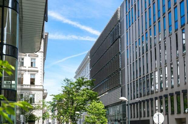 Gewerbeobjekt mieten in 1010 Wien (Bild 3)