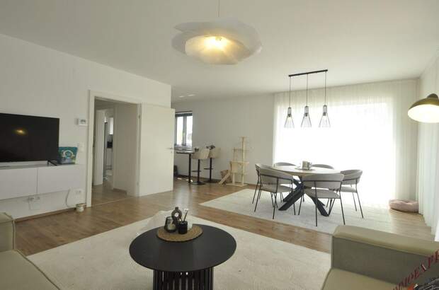 Haus mit Garten kaufen in 3252 Petzenkirchen (Bild 2)