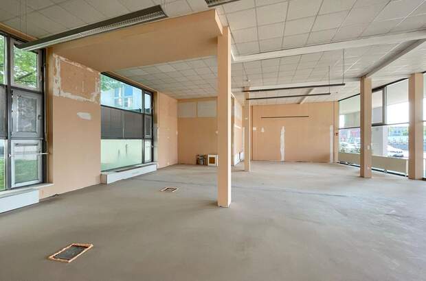 Gewerbeobjekt mieten in 1230 Wien (Bild 3)