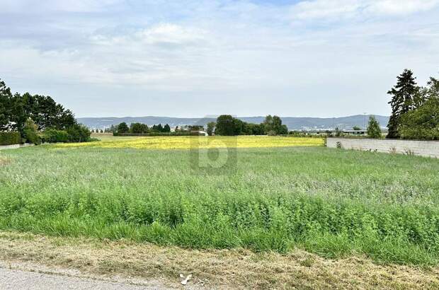 Grundstück kaufen in 7061 Trausdorf (Bild 1)