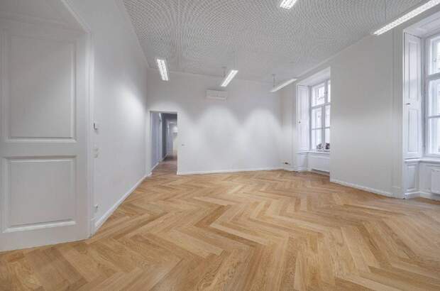 Gewerbeobjekt mieten in 1010 Wien (Bild 4)
