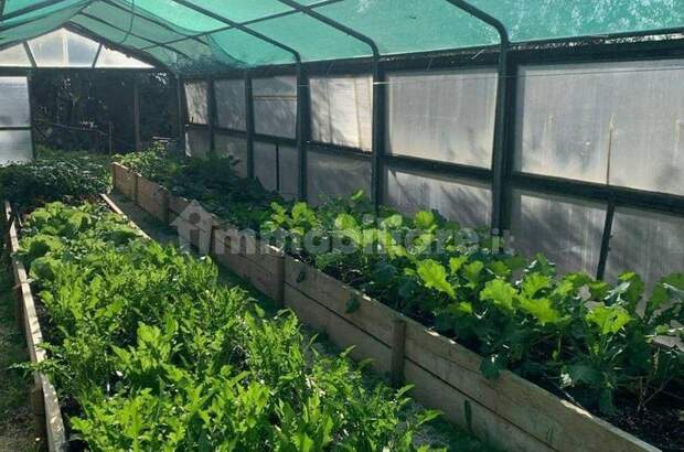 Haus kaufen in 6081 Assisi (Bild 3)