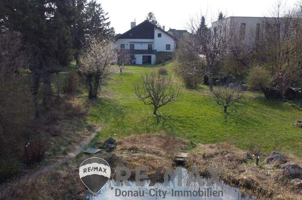 Einfamilienhaus kaufen in 2344 Maria Enzersdorf (Bild 4)