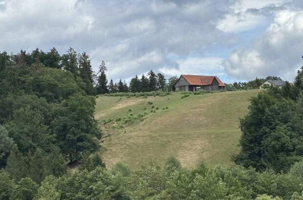 Grundstück kaufen in 8152 Stallhofen (Bild 2)