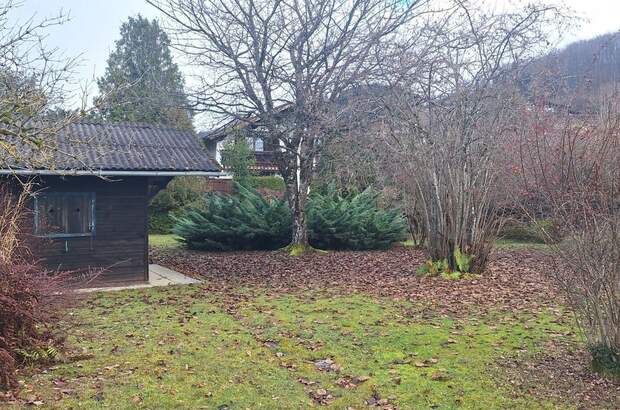 Haus kaufen in 4853 Steinbach (Bild 3)