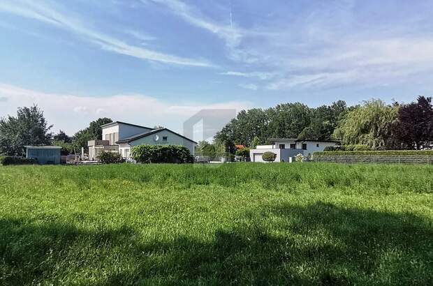 Grundstück kaufen in 2490 Ebenfurth (Bild 4)