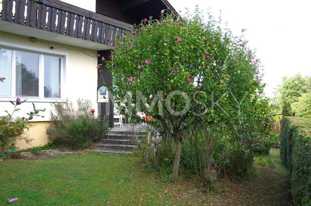 Einfamilienhaus kaufen in 4600 Thalheim (Bild 2)