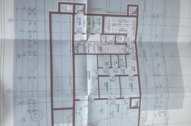 Grundstück kaufen in 6311 Oberau (Bild 4)