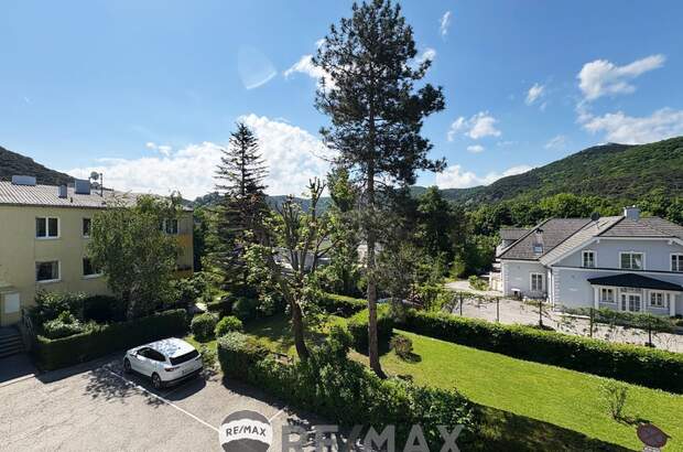 Terrassenwohnung kaufen in 2371 Hinterbrühl (Bild 3)