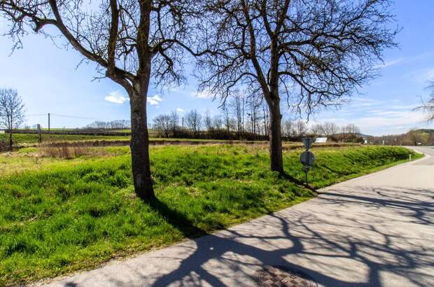 Gewerbeobjekt kaufen in 4631 Krenglbach (Bild 3)