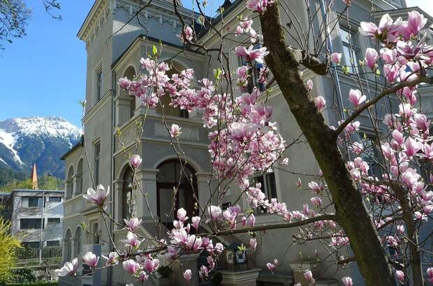Gewerbeobjekt mieten in 6020 Innsbruck (Bild 3)