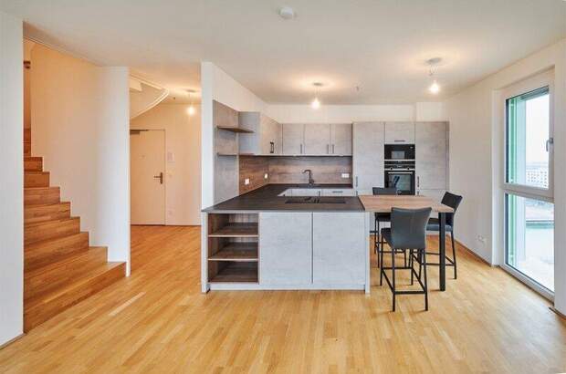 Terrassenwohnung kaufen in 1220 Wien (Bild 4)