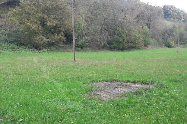 Gewerbeobjekt kaufen in 2833 Michelbach (Bild 2)