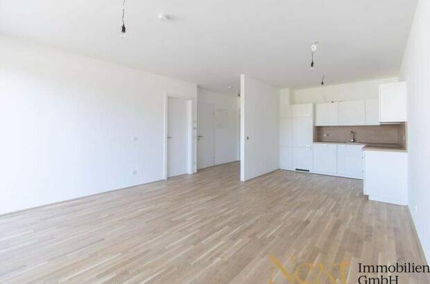 Terrassenwohnung mieten in 4020 Linz (Bild 3)