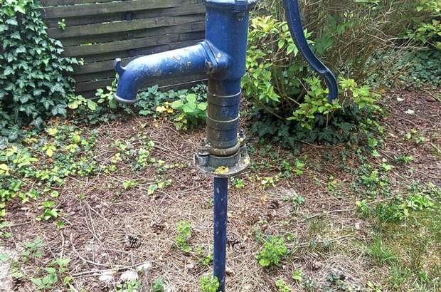 Haus mit Garten kaufen in 3430 Tulln (Bild 4)