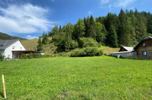 Grundstück kaufen in 8691 Altenberg (Bild 4)