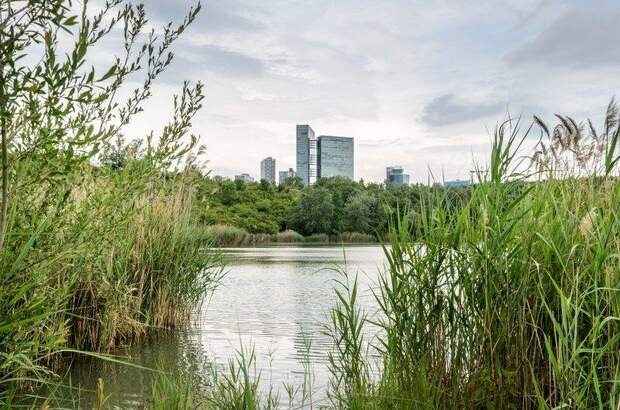 Eigentumswohnung in 1100 Wien (Bild 2)