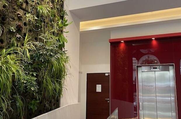 Gewerbeobjekt mieten in 1010 Wien (Bild 2)