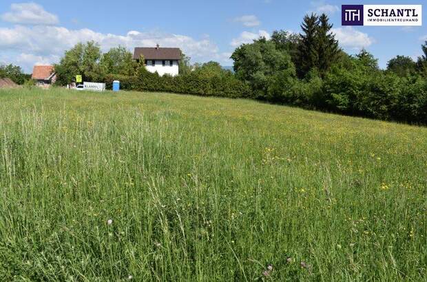 Grundstück kaufen in 8301 Laßnitzhöhe (Bild 5)