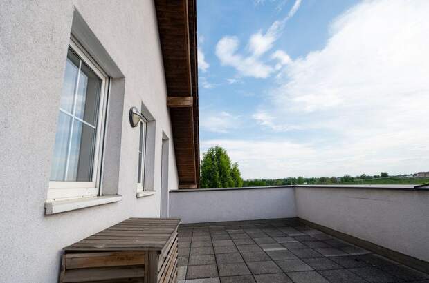 Haus kaufen in 4060 Leonding (Bild 5)