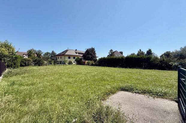 Grundstück kaufen in 2512 Oeynhausen (Bild 3)