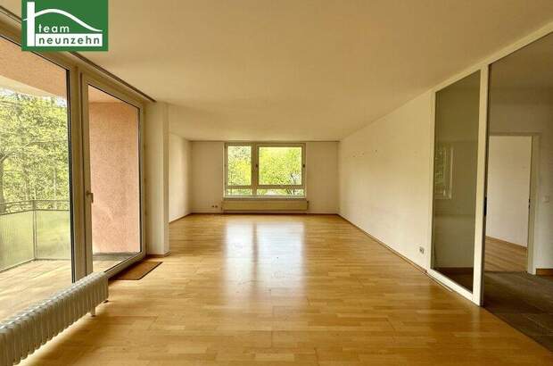 Terrassenwohnung mieten in 1180 Wien (Bild 1)