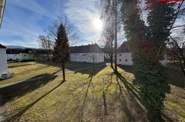 Wohnung mieten in 4400 Steyr (Bild 5)