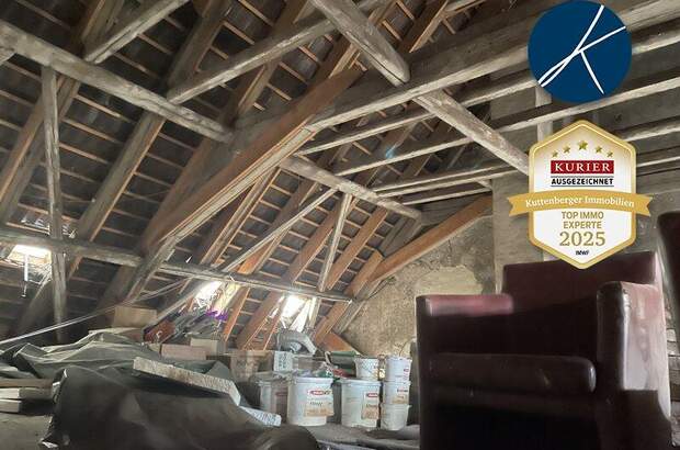 Wohnanlage kaufen in 2700 Wr. Neustadt (Bild 1)