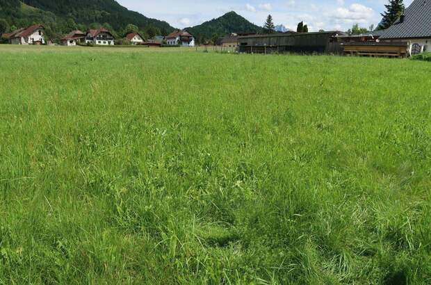 Grundstück kaufen in 8911 Admont (Bild 2)