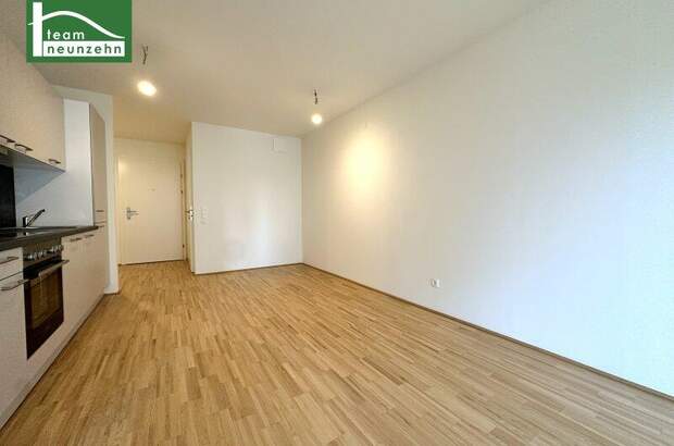 Terrassenwohnung mieten in 1200 Wien (Bild 3)