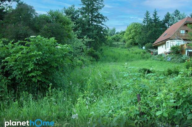 Grundstück kaufen in 2102 Hagenbrunn (Bild 3)