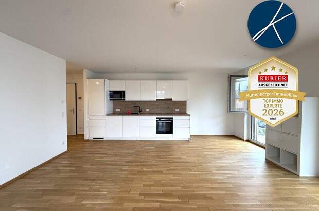 Terrassenwohnung mieten in 3500 Krems (Bild 5)