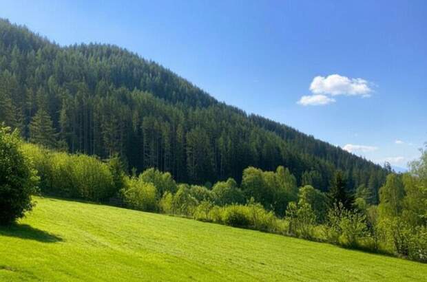 Grundstück kaufen in 8650 Kindberg (Bild 2)