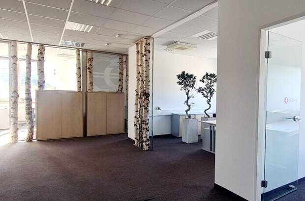 Gewerbeobjekt mieten in 5020 Salzburg (Bild 4)