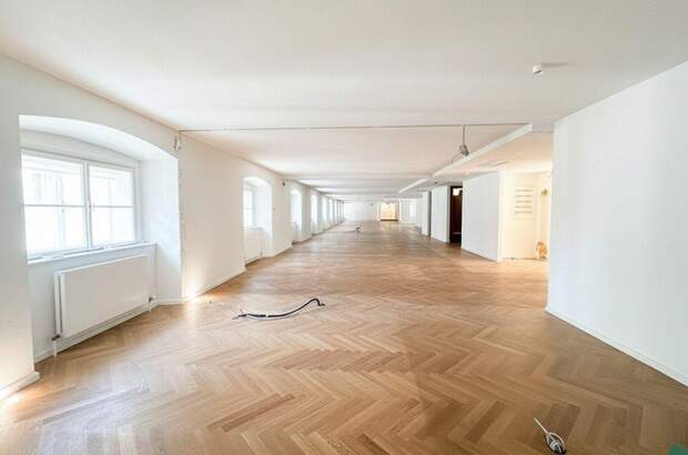 Gewerbeobjekt mieten in 1010 Wien (Bild 3)