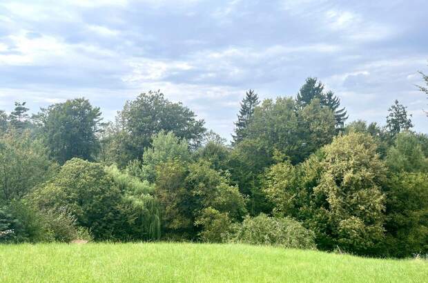 Grundstück kaufen in 8075 Hart (Bild 3)