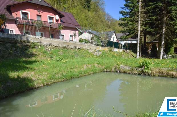 Haus kaufen in 3691 Nöchling (Bild 3)