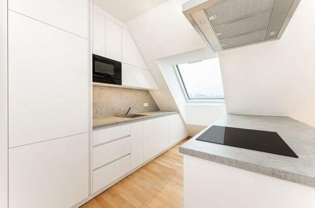 Terrassenwohnung mieten in 1130 Wien (Bild 3)
