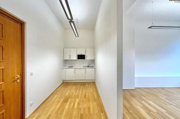 Gewerbeobjekt mieten in 1010 Wien (Bild 1)