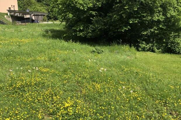 Grundstück kaufen in 8051 Graz (Bild 5)