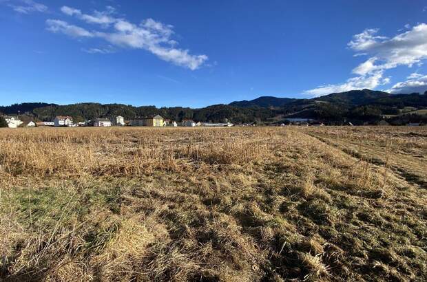 Grundstück kaufen in 8720 Apfelberg (Bild 4)