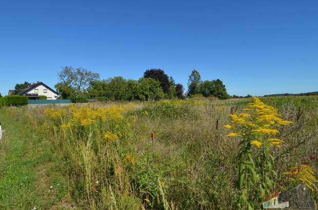 Grundstück kaufen in 2700 Wr. Neustadt (Bild 1)