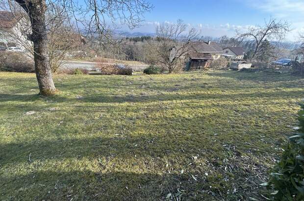 Grundstück kaufen in 4902 Wolfsegg (Bild 3)