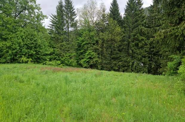 Grundstück kaufen in 8635 Gollrad (Bild 2)