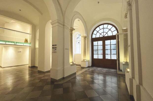 Altbauwohnung kaufen in 1010 Wien (Bild 5)