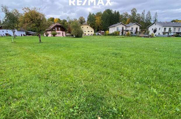 Grundstück kaufen in 4851 Gampern (Bild 3)