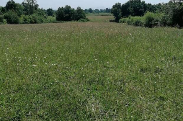 Grundstück kaufen in 53233 Vaganac (Bild 1)