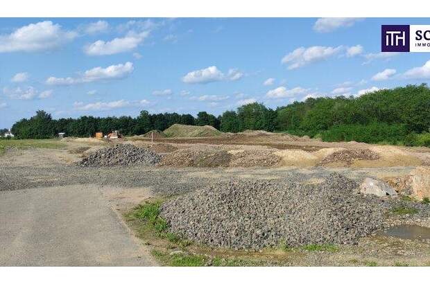 Grundstück kaufen in 8472 Vogau (Bild 4)