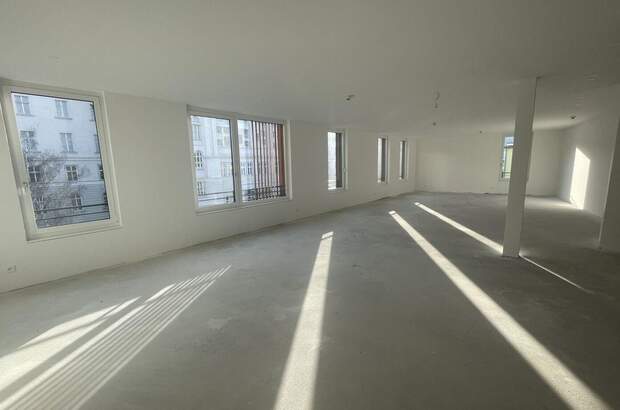 Gewerbeobjekt mieten in 2340 Mödling (Bild 4)